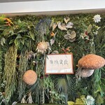 Shangri-La’s secret 表参道店 - 