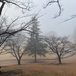 皆川城カントリークラブ - 