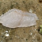 神田錦町 鮨たか晴 - 平鱸