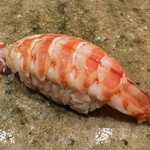 神田錦町 鮨たか晴 - 車海老