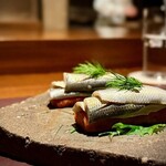 アカ - 2025.11.  小鰭のボカティージョ