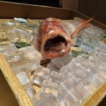 のどぐろ専門 銀座 中俣 - 