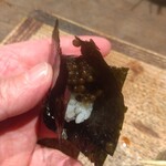 鳥茂 - キャビア寿司