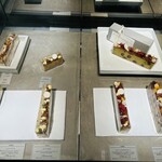 アサコ イワヤナギ プリュス - 