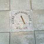 アサコ イワヤナギ プリュス - 