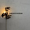 amam dacotan 表参道店