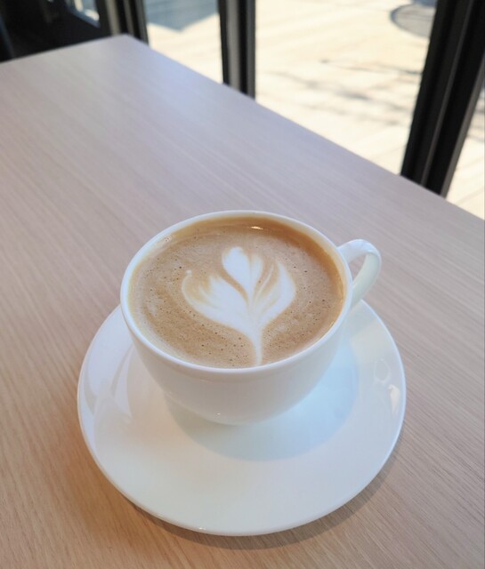 テラダ アート コンプレックス カフェ （TERRADA ART COMPLEX CAFE