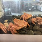 蟹遊亭 京都店 - 