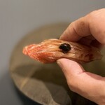 プレゼンテ スギ - 