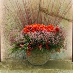 ヘイフンテラス - 