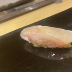 鮨 恵比寿 幸凛 - 本日の白身　ハタ