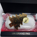 アングランパ - こんな感じ