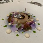 ラ ベデュータ - 