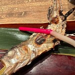 ハタハタ屋敷 - 