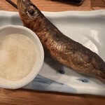 夜ノ焼魚 ちょーちょむすび - 