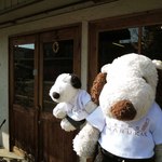 オーガニックパン工房　それいゆ - ボキらは今、阿倍野・帝塚山の
      『オーガニックパン工房 それいゆ』さんに来ています。
      阿倍野で一押しのパン屋さんだよ。