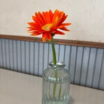 桃花水 - お花٩(^‿^)۶