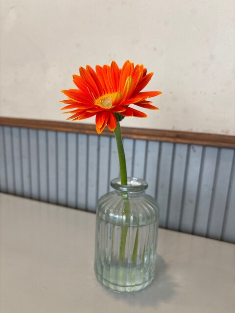 桃花水 - 柴橋（洋食）の写真