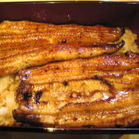 鰻割烹まえはら - 
