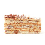 アシッドラシーヌ - ルッスフォイユの断面 '14 12月中旬