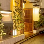 三茶 ユキツバキ - 