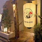 三茶 ユキツバキ - 