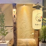 三茶 ユキツバキ - 