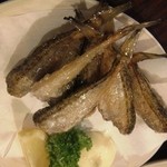 大衆酒場　ふくろ - 