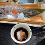 活魚料理 かべしま - アオリイカ