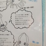 活魚料理 かべしま - 