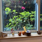 TEA HOUSE U×U - 相変わらず景色が良い。