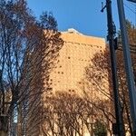 スターバックス・コーヒー - 