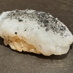 鮨 森学 - 舞鶴産アオリイカ