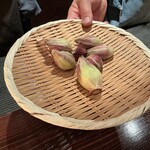 たでの葉 - 新物のフキノトウ