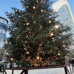 ペリカンカフェ - 