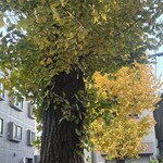 ブランジュリー パリの空の下 - 