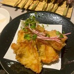 羽衣のあしあと - 