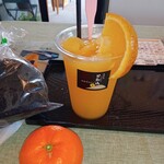 カフェ グロウ・アップ - ドリンク写真:甘夏inシャーベット 購入したヒジキ サービスのミカン