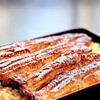 うなせん - 写真を見れば明らかですが、近隣の有名店「うなぎ割烹山田」さん、「別館山田」さん のような、焼きが強く、濃くて甘いタレで、 香りも強烈な鰻に対し、こちら焼き色も味わ いもわずかに控えめ。