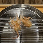 てんぷら 下村 - 車海老足