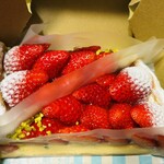 キル フェ ボン - 素敵^ - ^