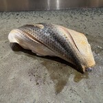 鮨 うえはら - コハダ