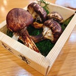 幸手 門間 ふくろう - 