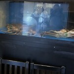 割烹 あかつき - 