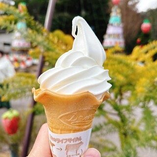 mokumokuとまとcafe_1