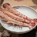 神田錦町 鮨たか晴 - 茹で立ての車海老