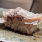 神田錦町 鮨たか晴 - 煮蛤