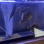 魚がしどまん中 毘沙門天 - 