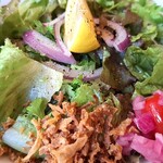 お酒とスパイス カンテラ - 見た目はサラダだ