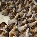 海鮮ブッフェダイニング 銀座八芳 - 